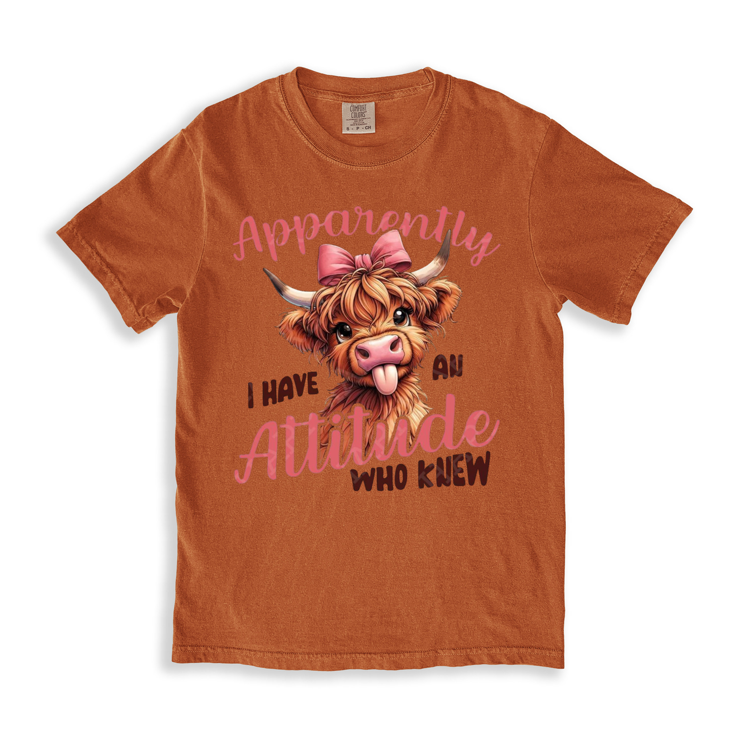 Apparently I Have An Attitude Who Knew T-shirt - Yam