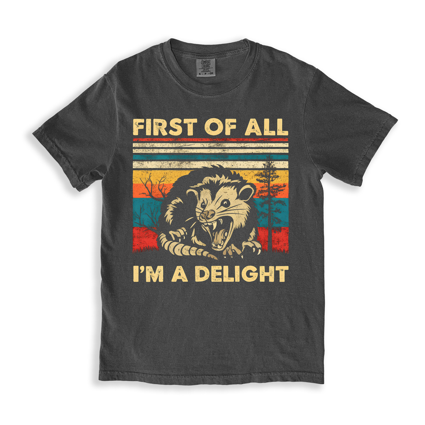 First Of All I'm A Delight 6 T-shirt