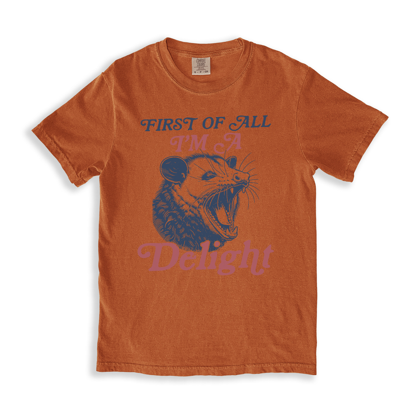 First Of All I_m A Delight 7 T-shirt - Yam