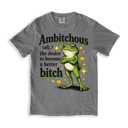 Ambitchous T-shirt - Grey