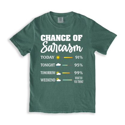 Change Of Sarcasm 2 T-shirt