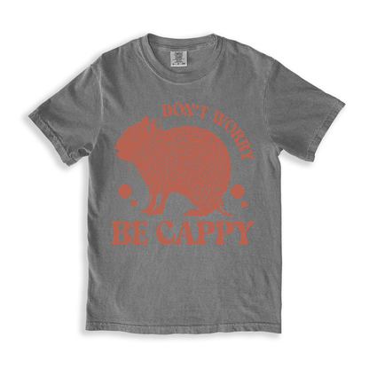 Don_t Worry Be Cappy T-shirt - Grey