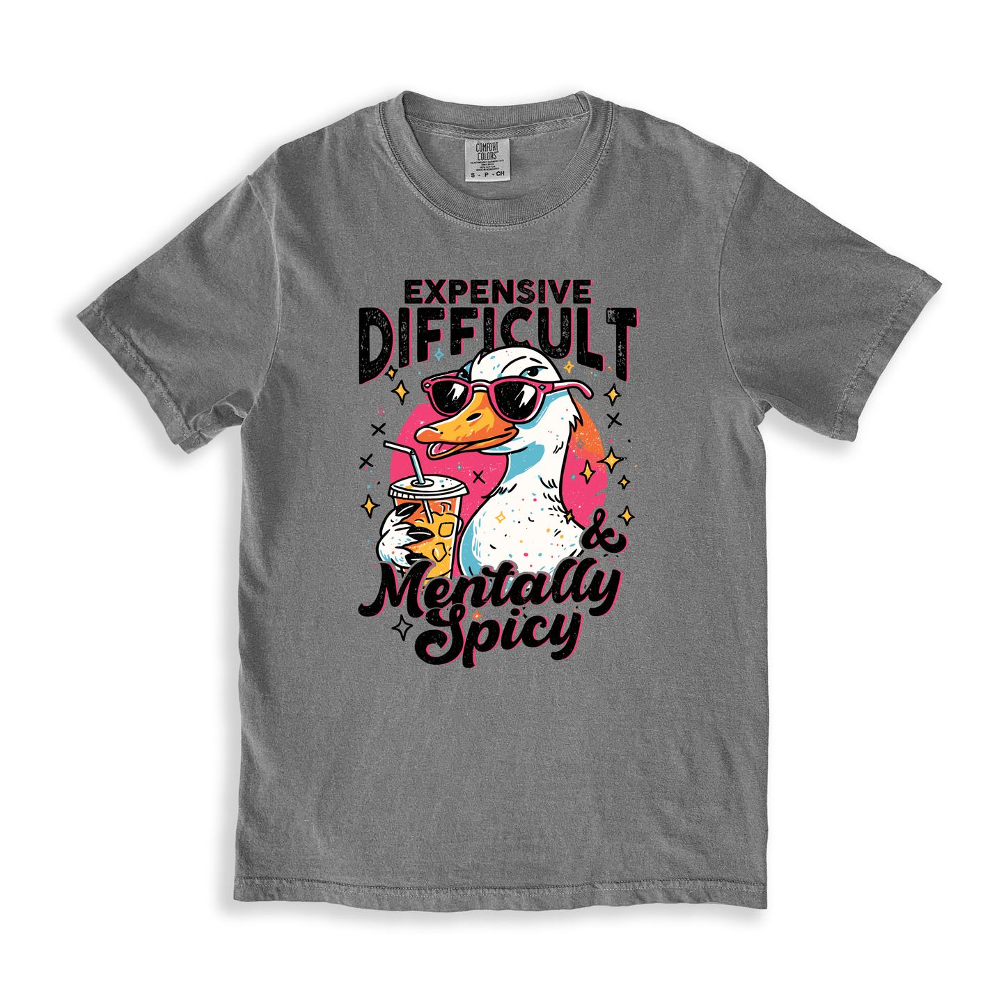 Expensive Difficult Mentally Spicy T-shirt - Grey