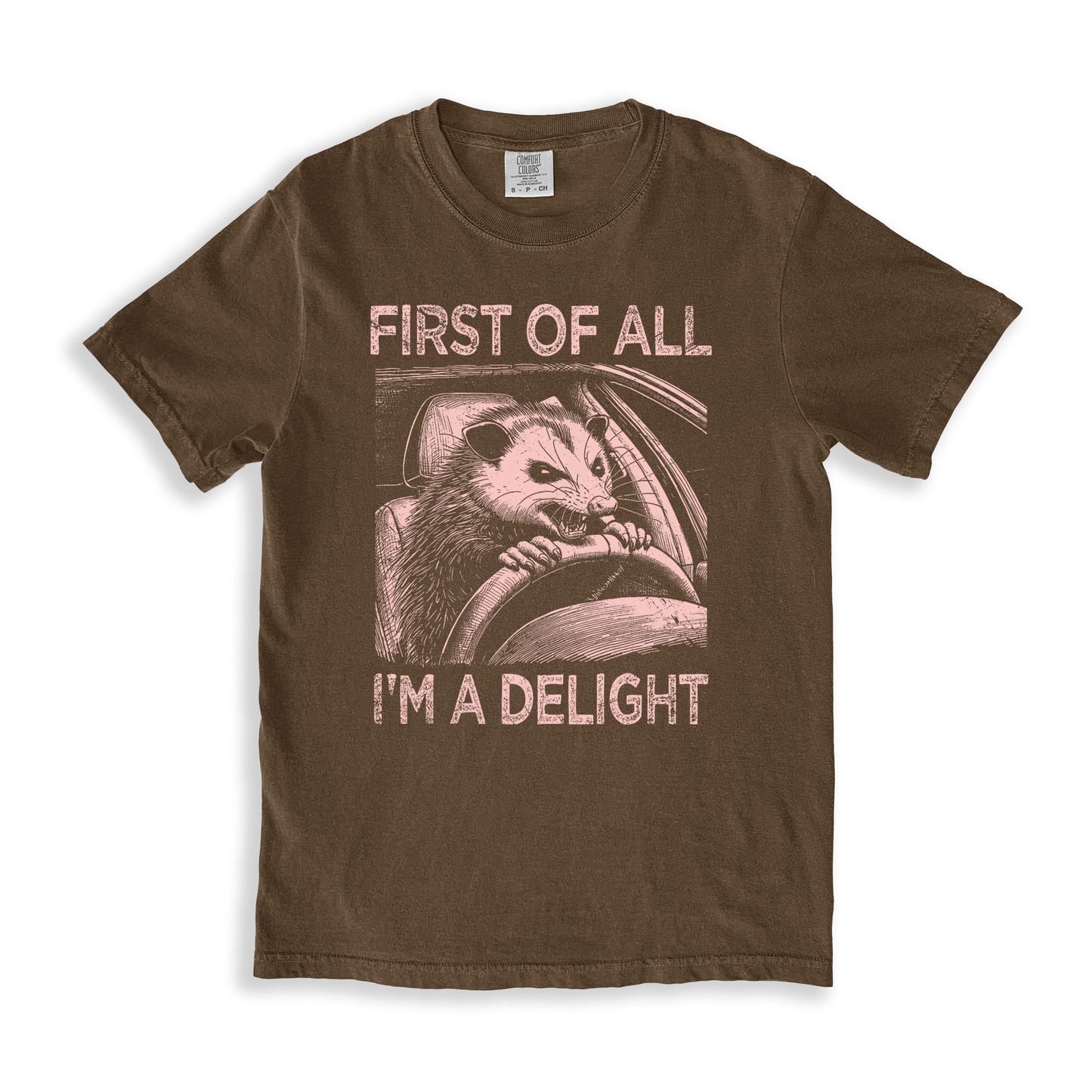First Of All I'm A Delight 5 T-shirt