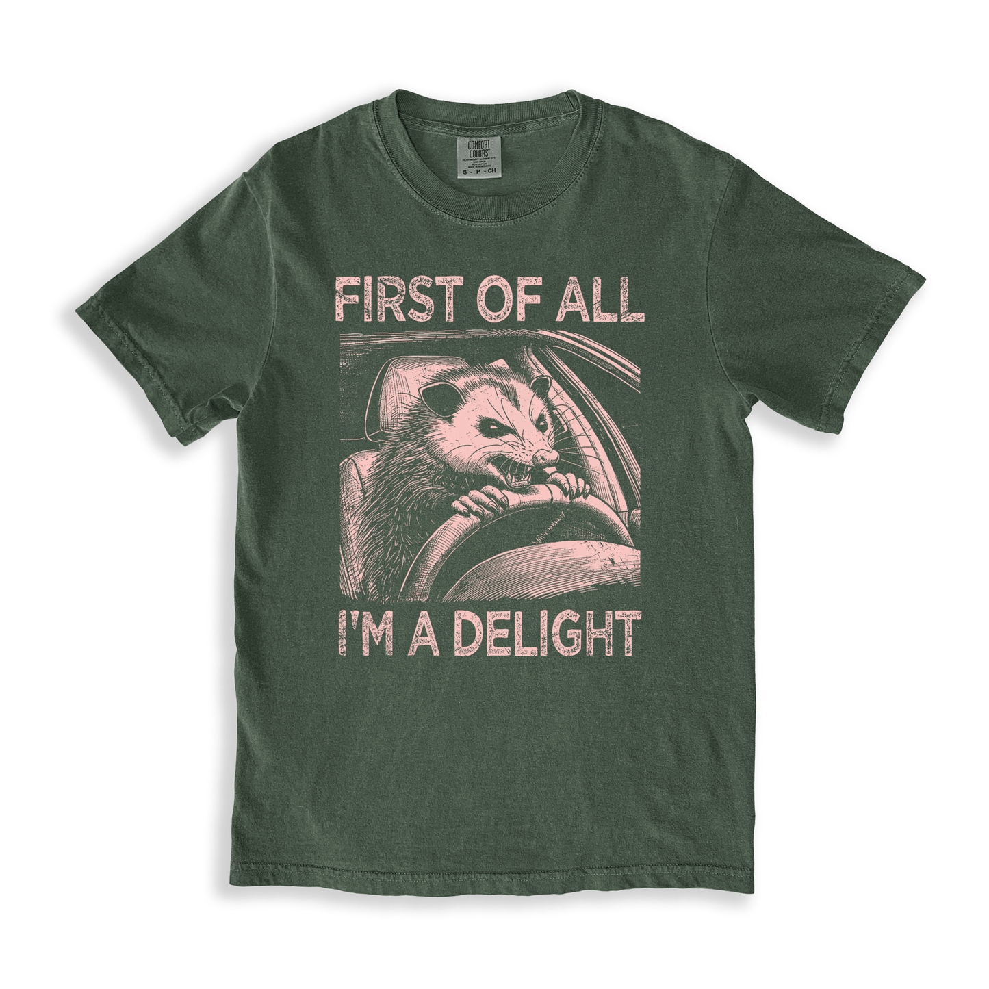 First Of All I'm A Delight 5 T-shirt