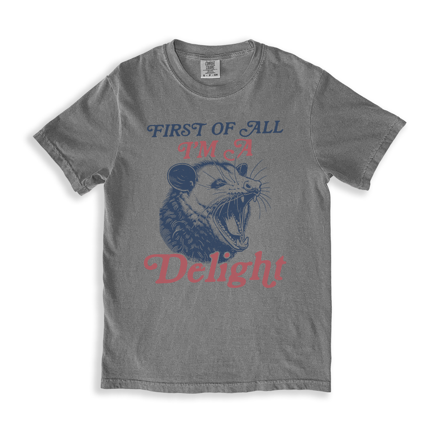 First Of All I_m A Delight 7 T-shirt - Grey