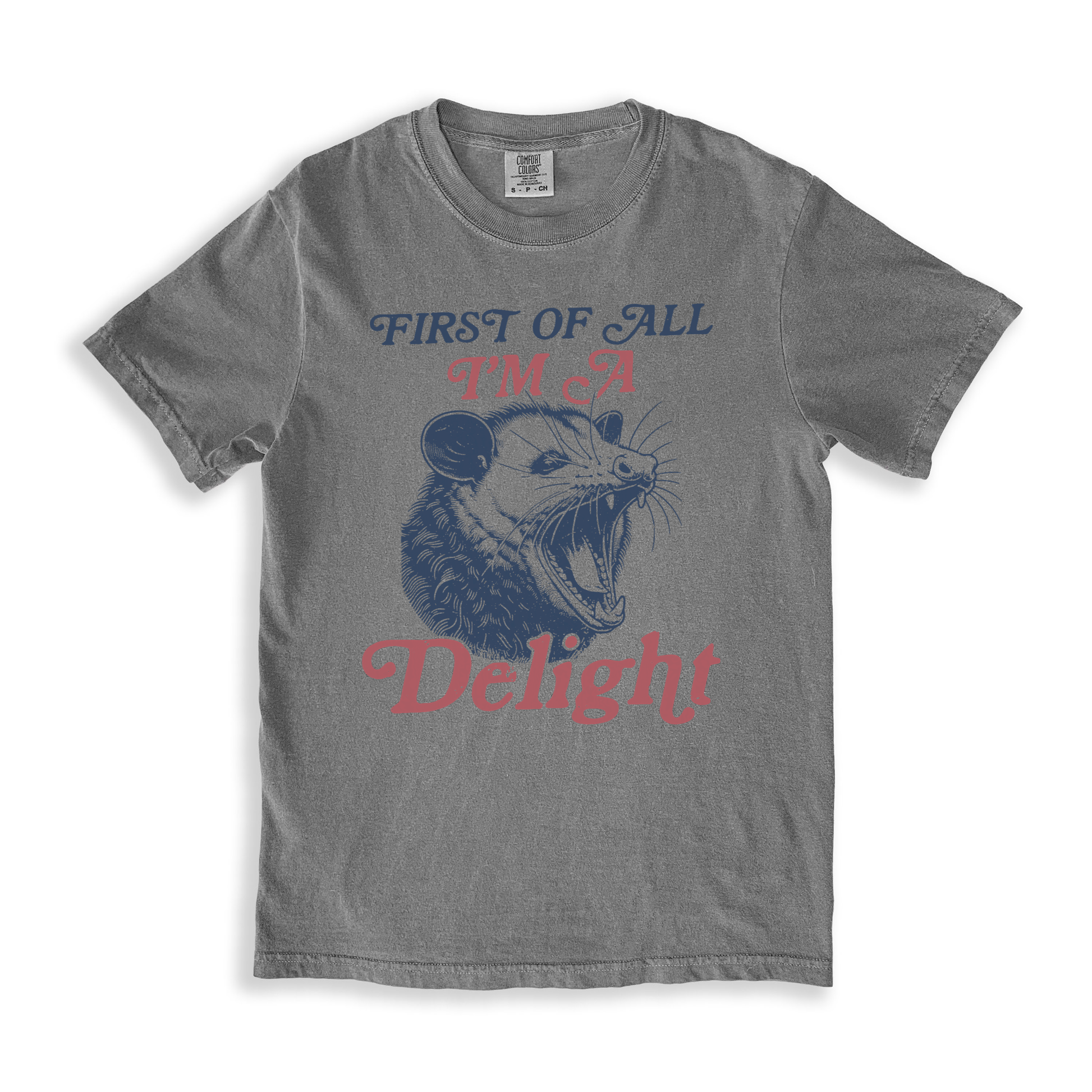 First Of All I_m A Delight 7 T-shirt - Grey