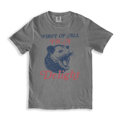 First Of All I_m A Delight 7 T-shirt - Grey
