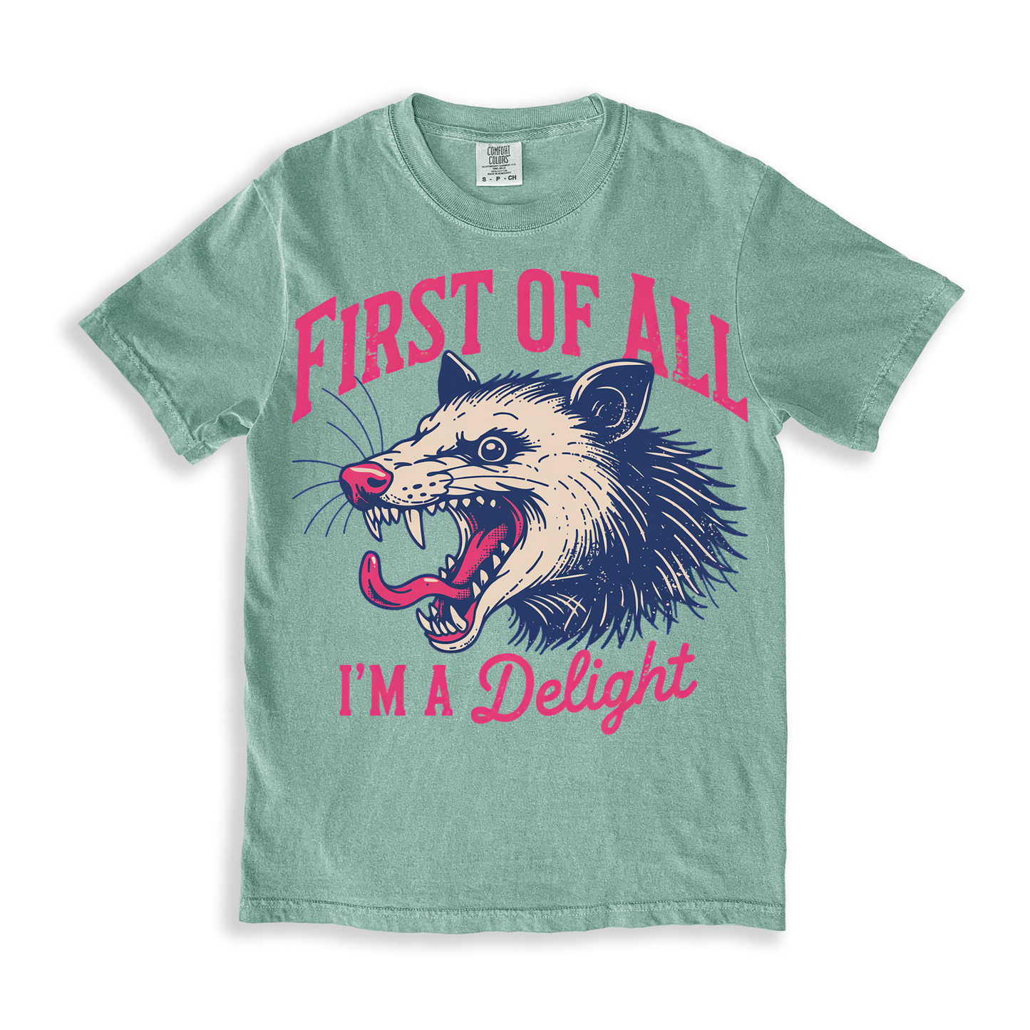 First Of All I'm A Delight T-shirt - Bay