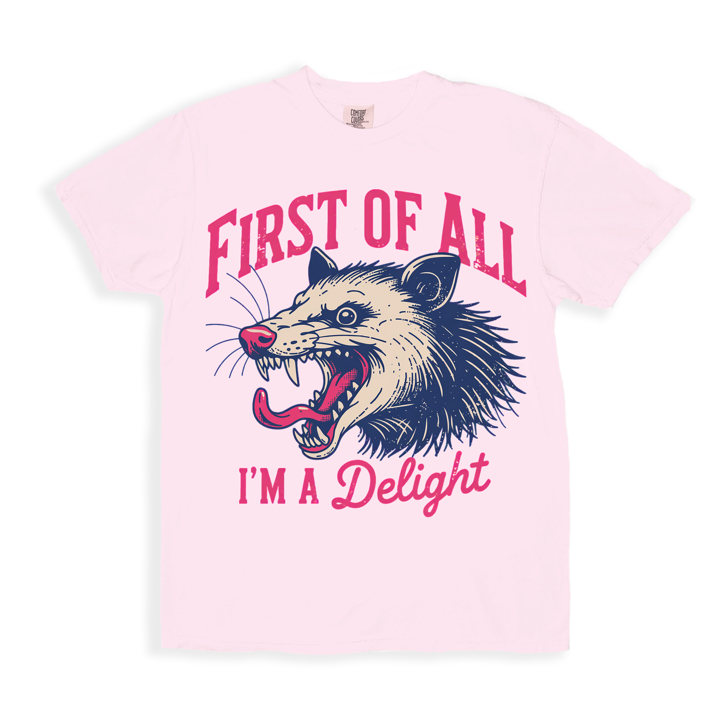 First Of All I'm A Delight T-shirt - Blossom