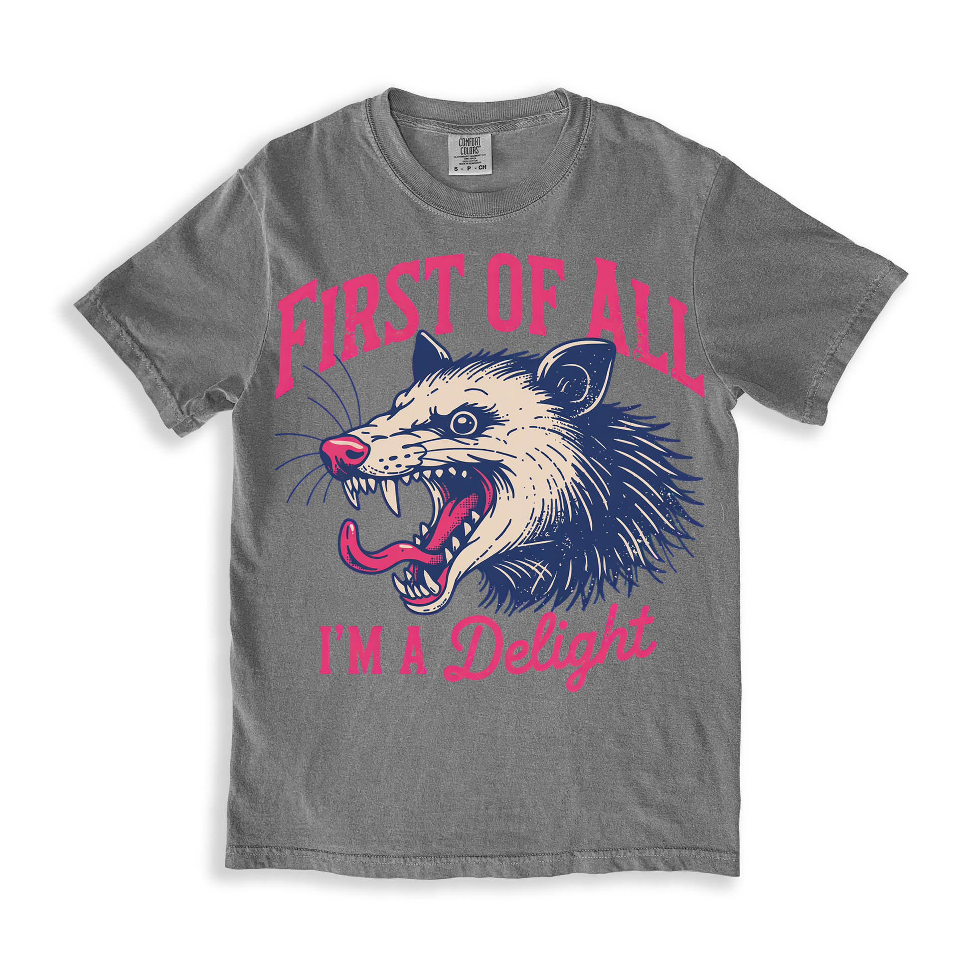 First Of All I'm A Delight T-shirt - Grey