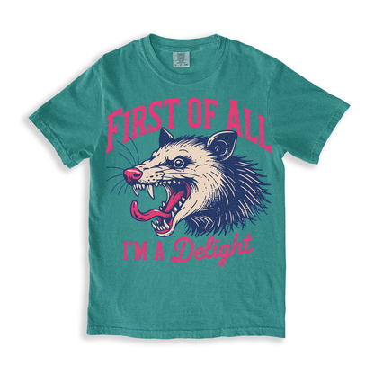 First Of All I'm A Delight T-shirt - SeaFoam