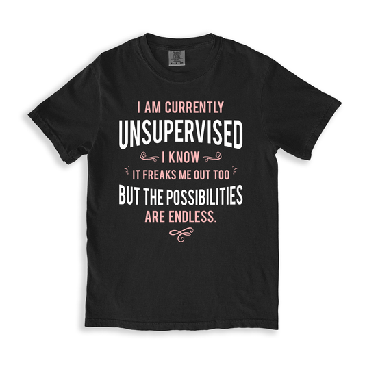 I Am Currently Unsupervised T-shirt