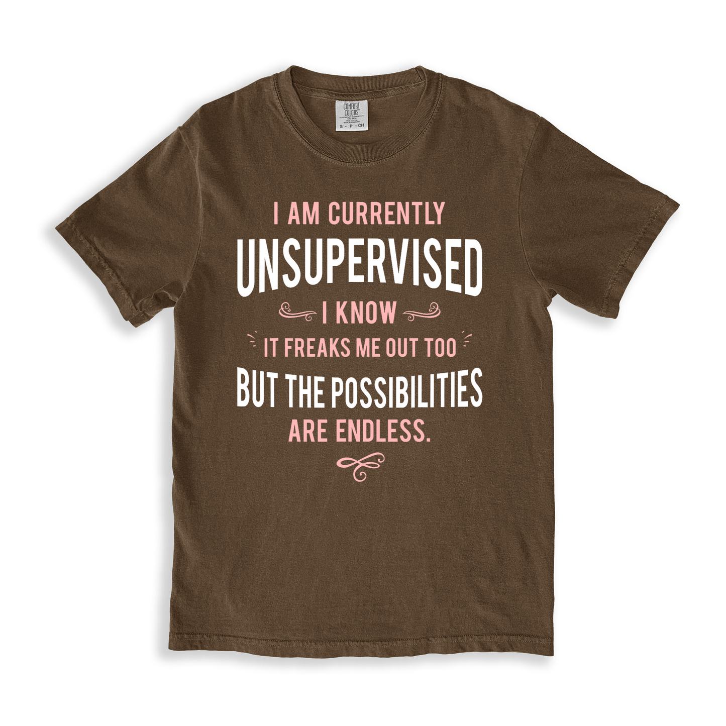I Am Currently Unsupervised T-shirt