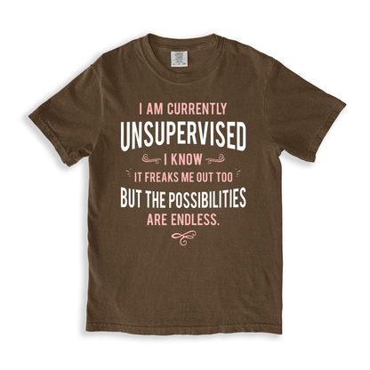 I Am Currently Unsupervised T-shirt