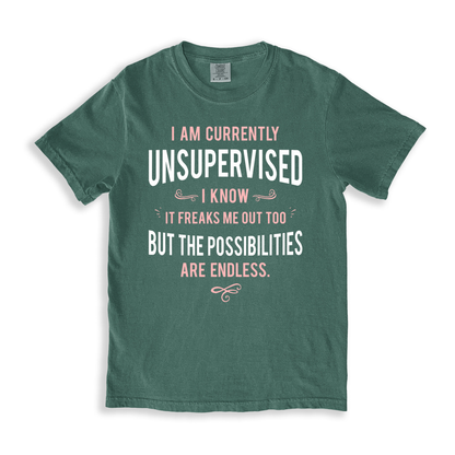 I Am Currently Unsupervised T-shirt