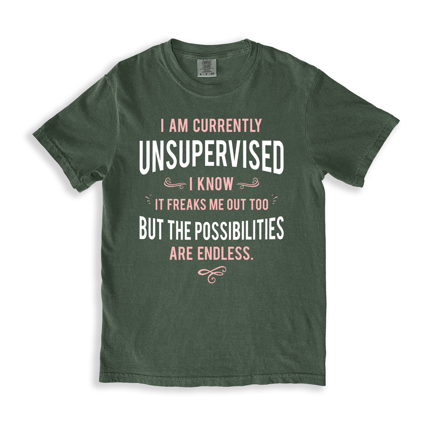 I Am Currently Unsupervised T-shirt