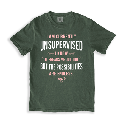 I Am Currently Unsupervised T-shirt