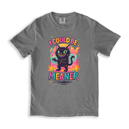 I Could Be Meaner T-shirt - Grey