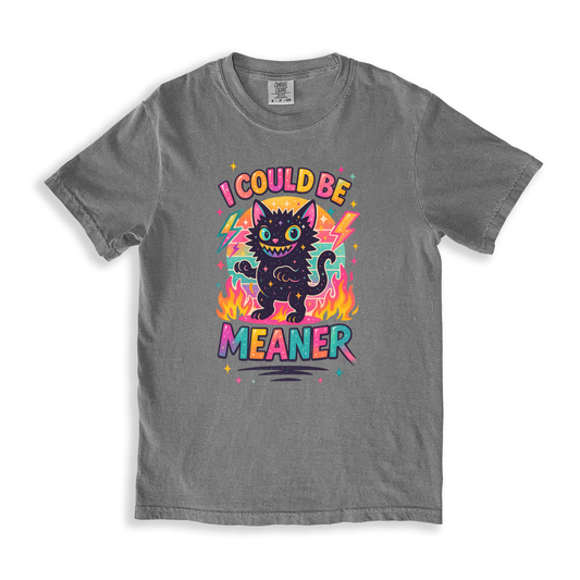 I Could Be Meaner T-shirt - Grey