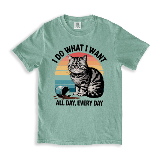 I Do What I Want All Day Every Day 2 T-shirt - Bay