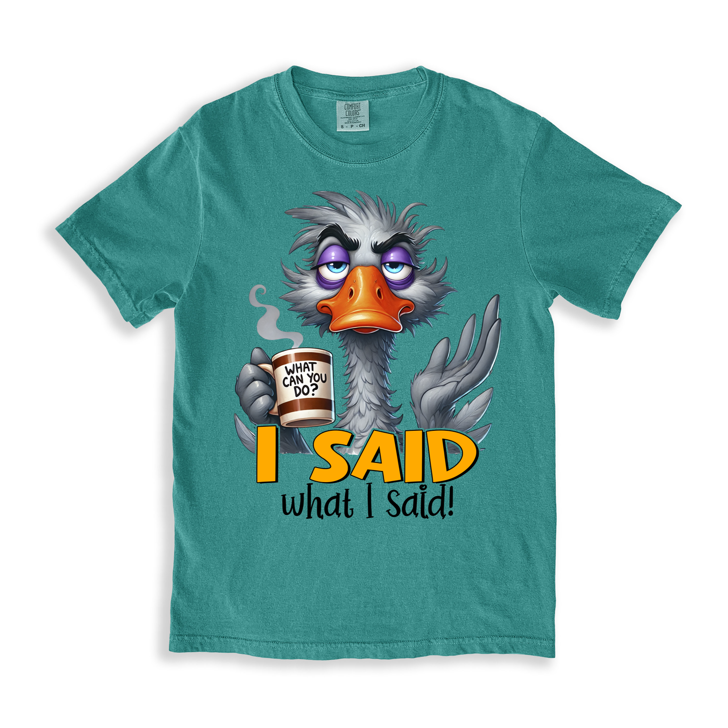 I Said What I Said T-shirt - SeaFoam