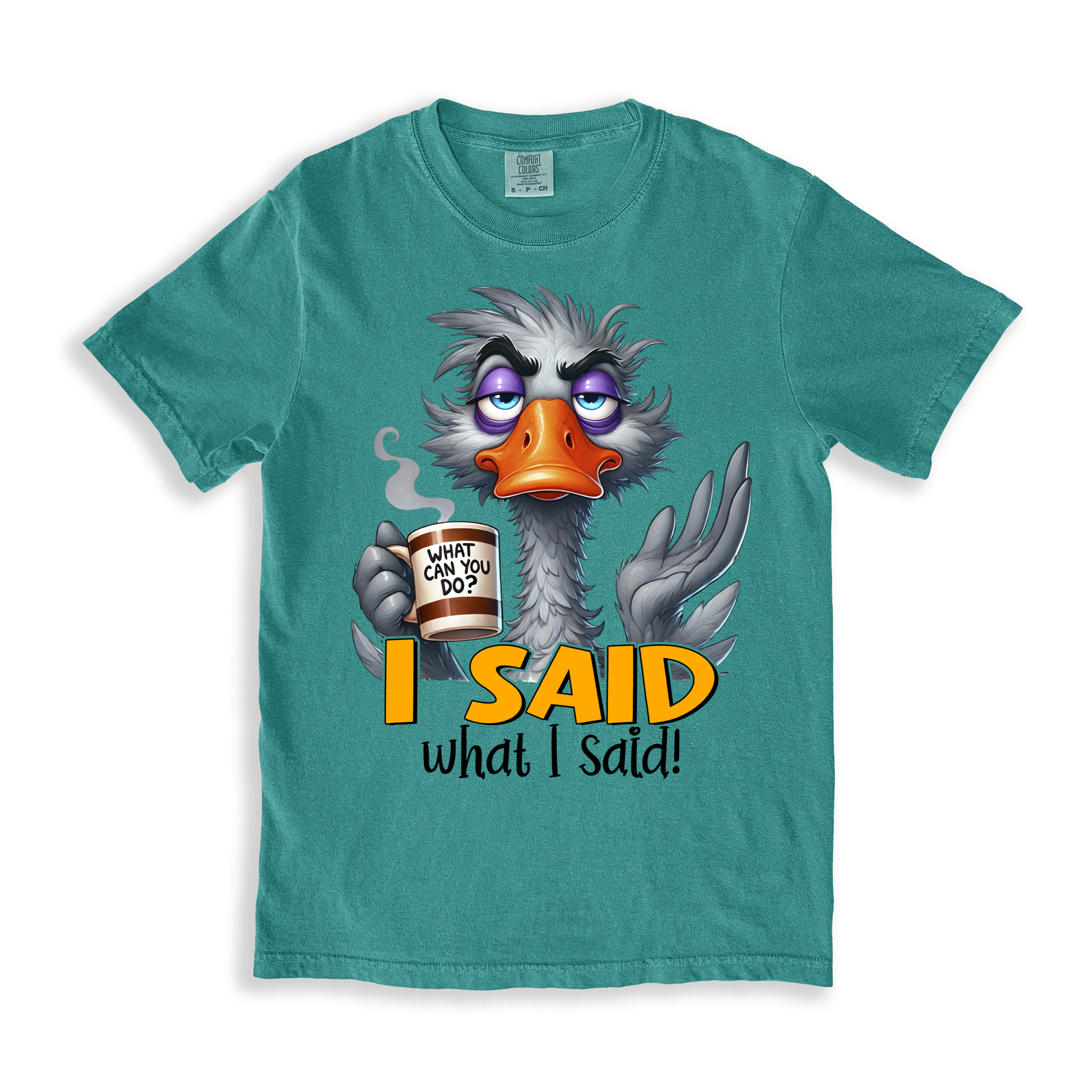 I Said What I Said T-shirt - SeaFoam