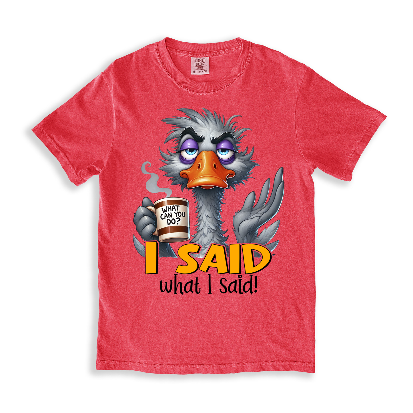 I Said What I Said T-shirt - Watermelon