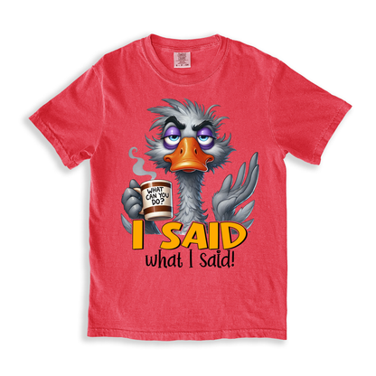 I Said What I Said T-shirt - Watermelon