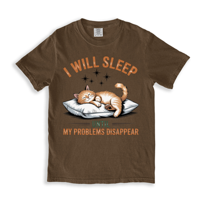 I Will Sleep Until My Problems Disappear T-shirt