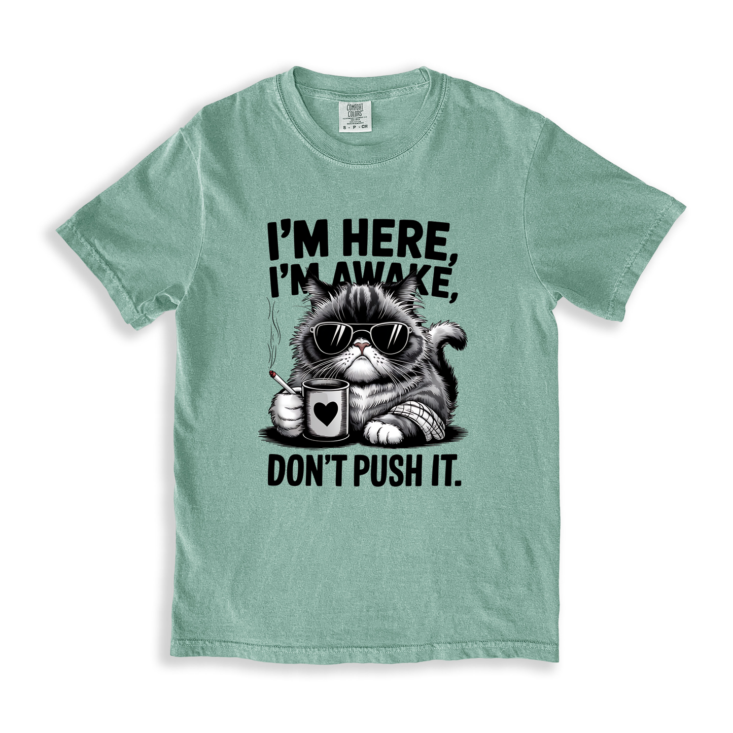 I_m Here I_m Awake Don_t Push It(1) T-shirt - Bay