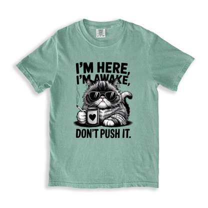 I_m Here I_m Awake Don_t Push It(1) T-shirt - Bay