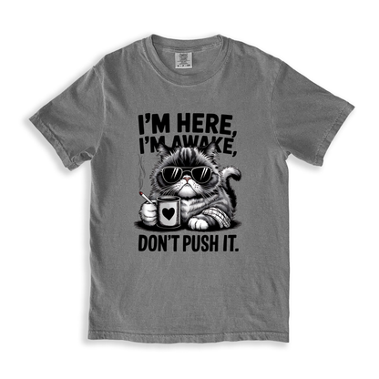 I_m Here I_m Awake Don_t Push It(1) T-shirt - Grey