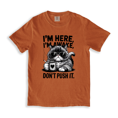 I_m Here I_m Awake Don_t Push It(1) T-shirt - Yam