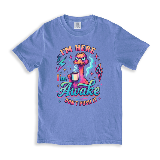 I_m Here I_m Awake Don_t Push It 2 T-shirt - BlueJean