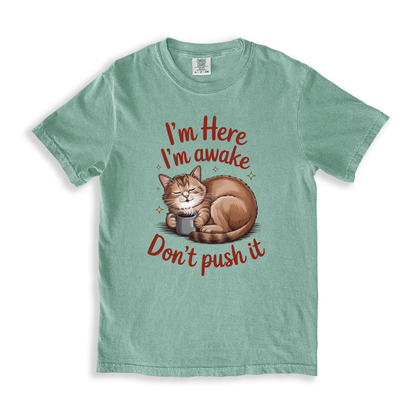 I_m Here I_m Awake Don_t Push It T-shirt - Bay