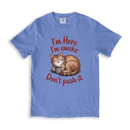 I_m Here I_m Awake Don_t Push It T-shirt - BlueJean