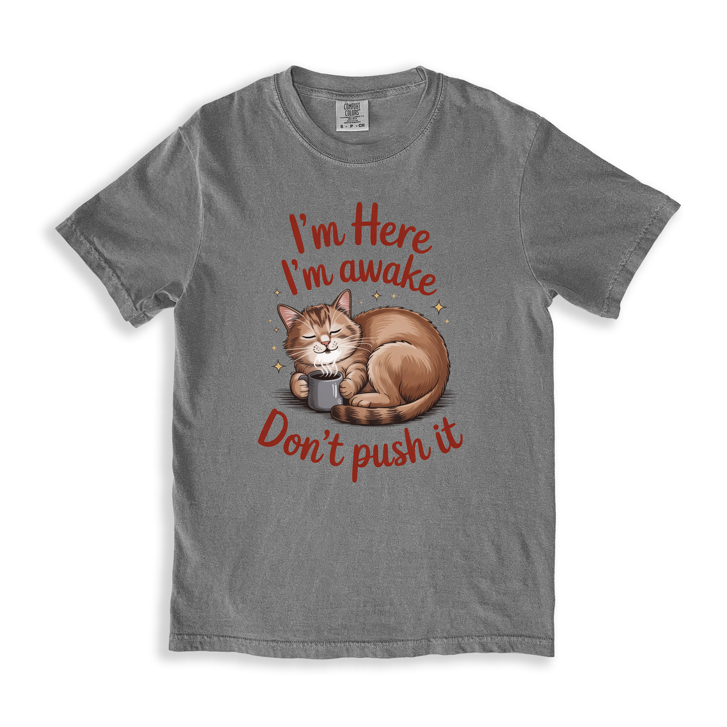 I_m Here I_m Awake Don_t Push It T-shirt - Grey
