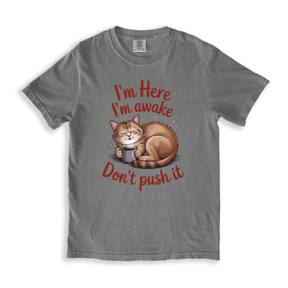 I_m Here I_m Awake Don_t Push It T-shirt - Grey