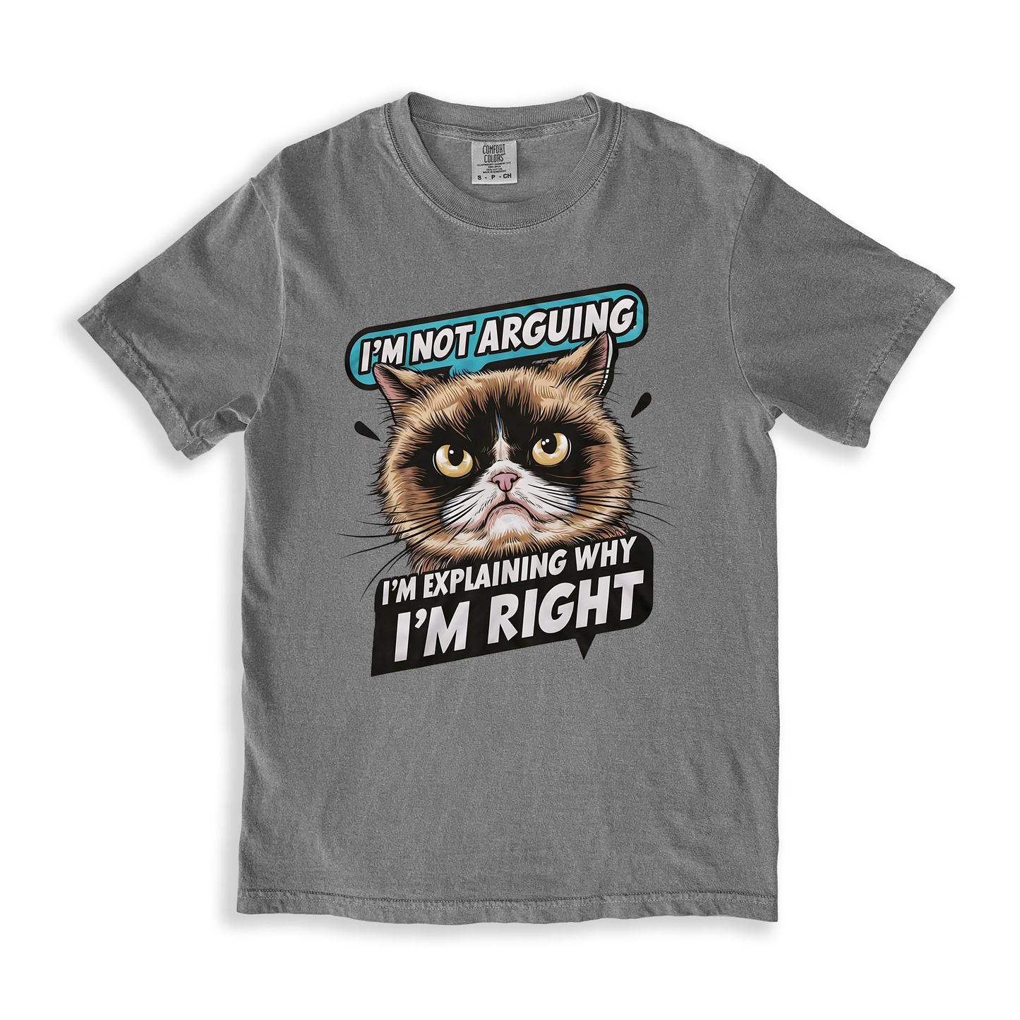 I_m Not Arguing I_m Explaining Why I_m Right T-shirt - Grey