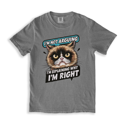 I_m Not Arguing I_m Explaining Why I_m Right T-shirt - Grey