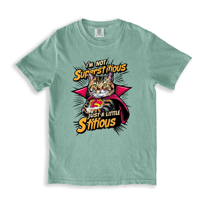 I_m Not Superstitious Just A Little Stitious T-shirt - Bay