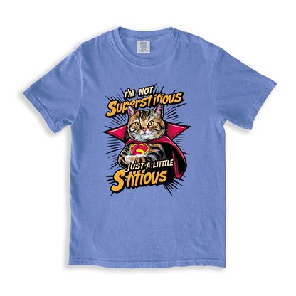 I_m Not Superstitious Just A Little Stitious T-shirt - BlueJean