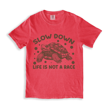Slow Down Life Is Not A Race T-shirt - Watermelon