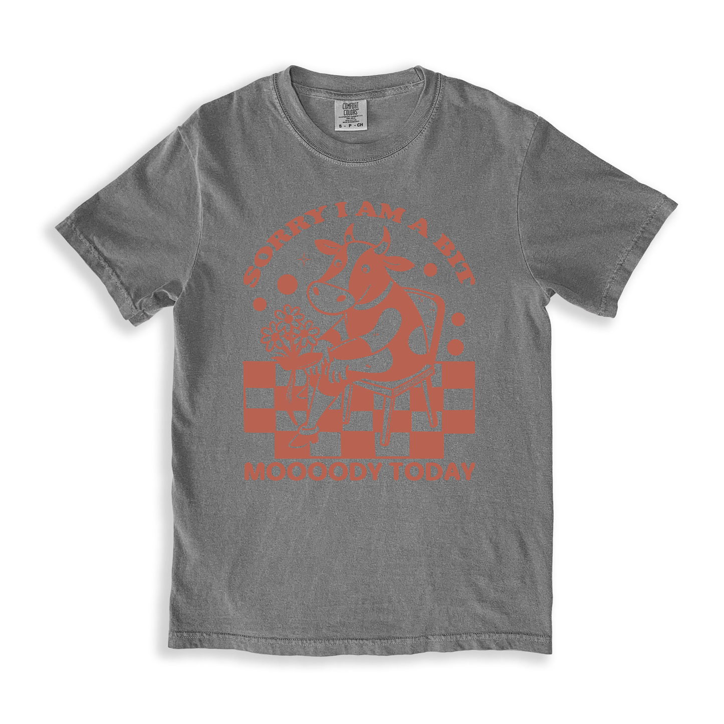 Sorry I Am A Bit Moooody Today T-shirt - Grey