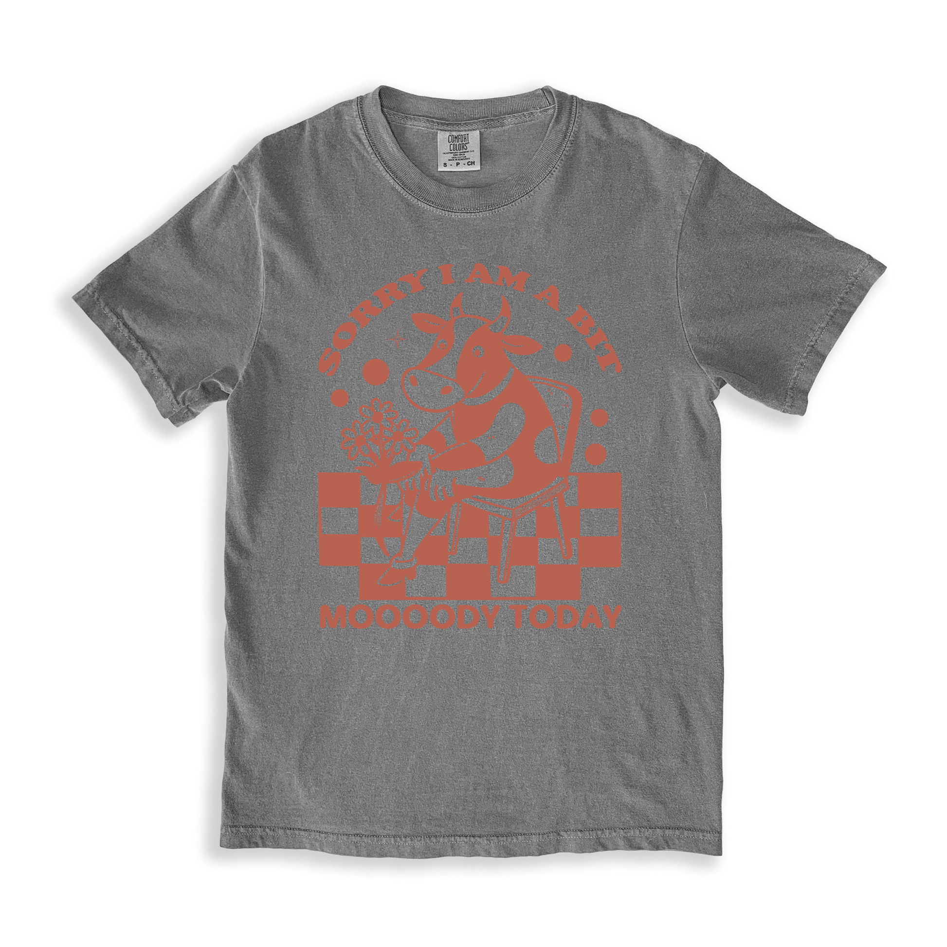 Sorry I Am A Bit Moooody Today T-shirt - Grey