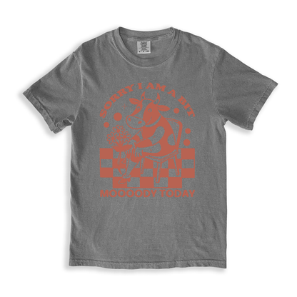 Sorry I Am A Bit Moooody Today T-shirt - Grey