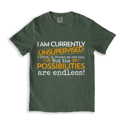 Unsupervised Possibilities T-shirt