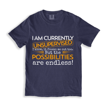 Unsupervised Possibilities T-shirt