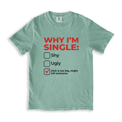 Why Im Single T-Shirt - Bay